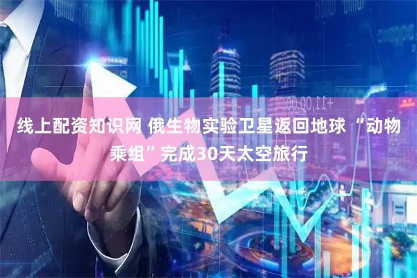 线上配资知识网 俄生物实验卫星返回地球 “动物乘组”完成30天太空旅行