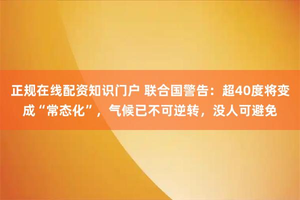 正规在线配资知识门户 联合国警告：超40度将变成“常态化”，气候已不可逆转，没人可避免