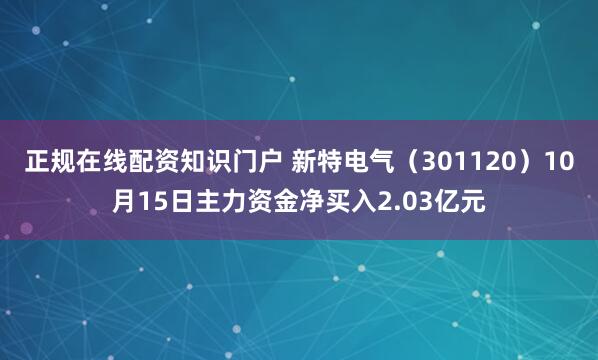 正规在线配资知识门户 新特电气（301120）10月15日主力资金净买入2.03亿元